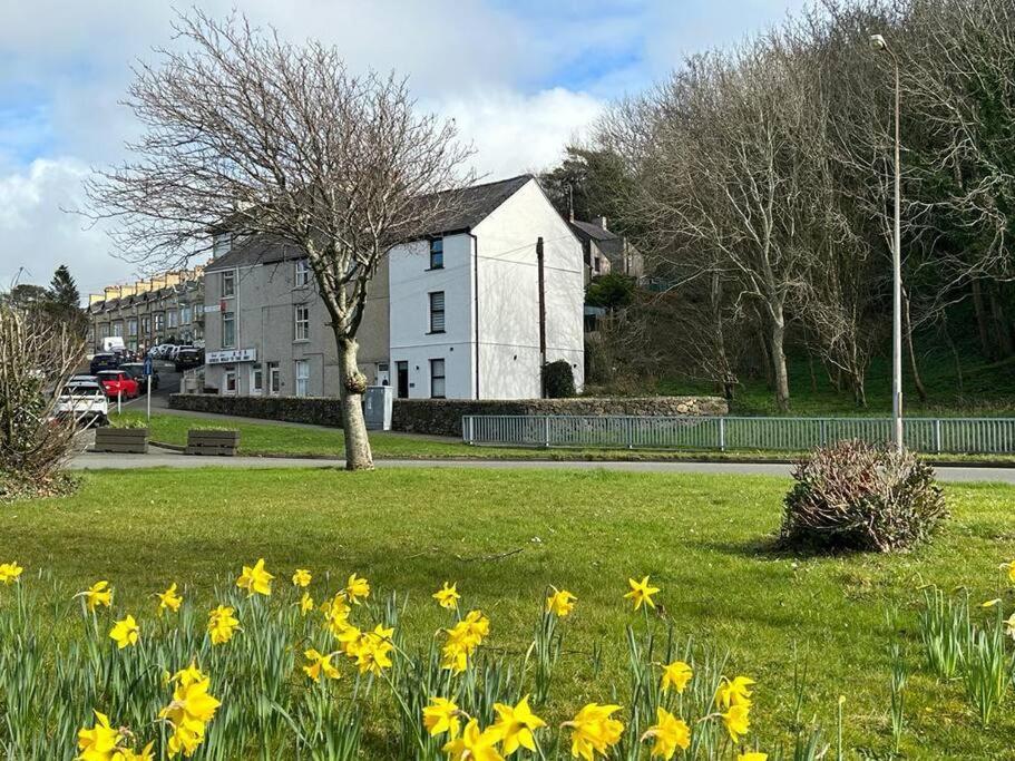 Caernarfon Modern Townhouse Snowdonia别墅 外观 照片